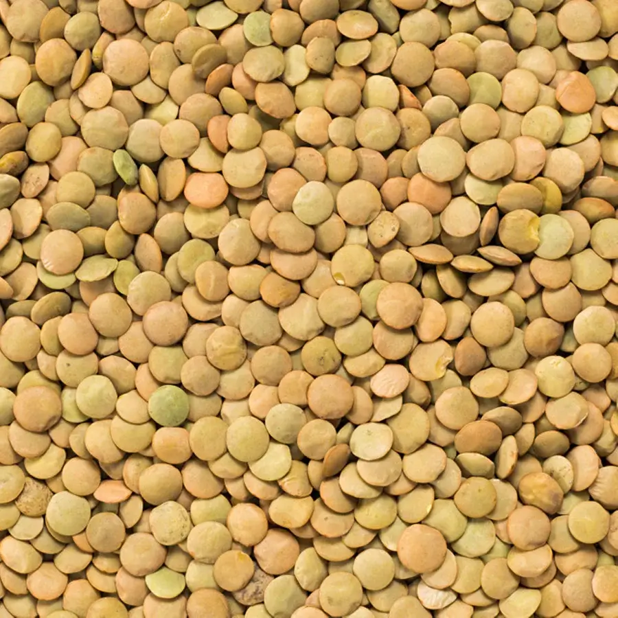 Чечевица x4 — продукт внутри